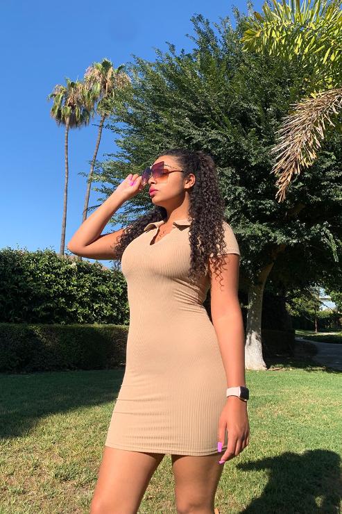 Ribbed Polo Short Sleeve Bodycon Mini Dress