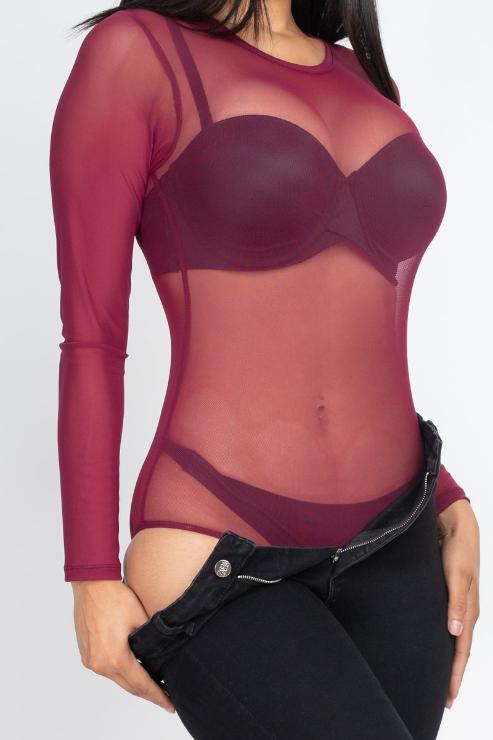 Sexy Sheer Mesh Long Sleeve Bodysuit