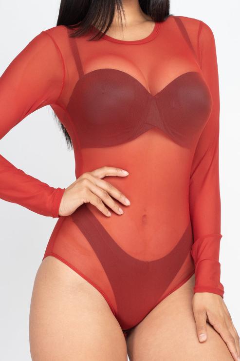Sexy Sheer Mesh Long Sleeve Bodysuit